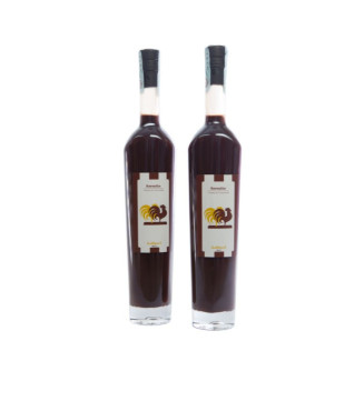Sorsetto al cioccolato da 50 ml